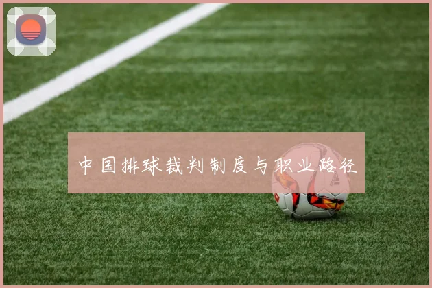 中国排球裁判制度与职业路径