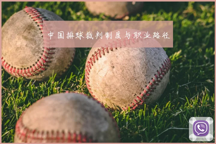 中国排球裁判制度与职业路径